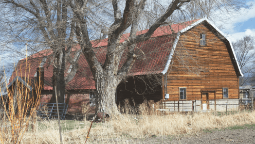 Historic-Barns-of-Carson-Valley